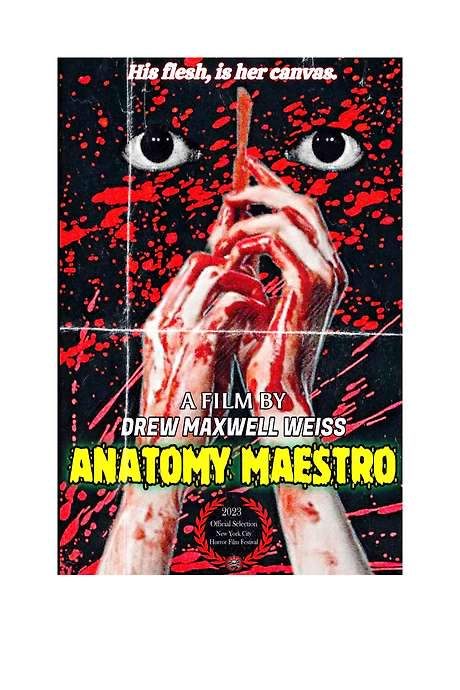 The Anatomy Maestro